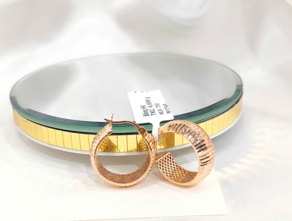 B02549 Bông tai kiểu chạm máy (HK)750