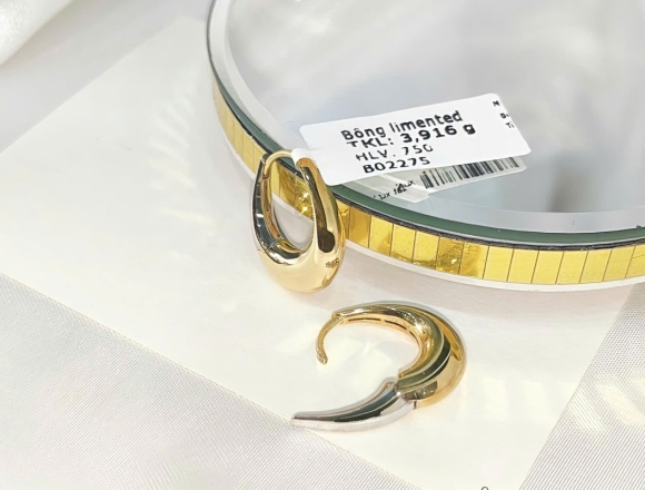 B02275 Bông tai kiểu 2 màu (Liminted)750