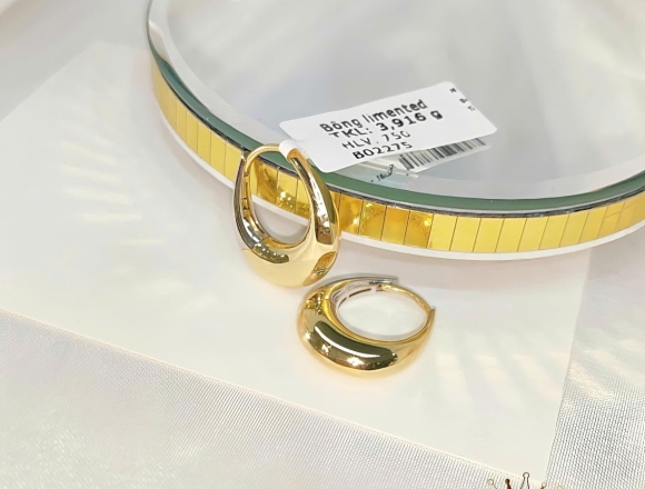 B02275 Bông tai kiểu 2 màu (Liminted)750