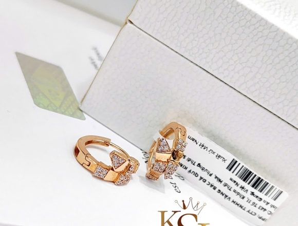 B01791 Bông tai BVL (1:1)750