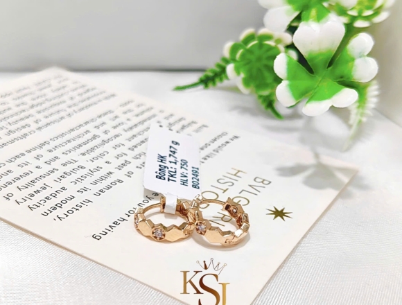 B02491 Bông tai khoen Chaumet (HK)750