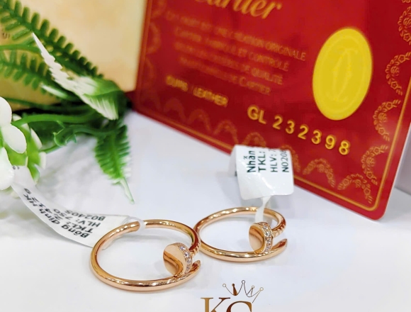 N02089 Nhẫn đinh (1:1)750 ni8